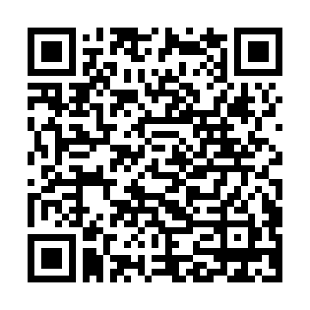 UPI QR Code